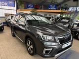 Subaru Forester Platinum - Subaru Forester mit Benzin-Antrieb: Leder, Allradantrieb