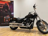 Harley-Davidson FXST Softail Standard - Angebote entsprechen Deinen Suchkriterien