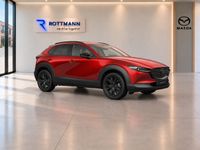 Mazda CX-30 - Vorschau Bild 8