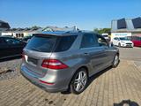 Mercedes-Benz ML 250  CDI BlueTec 4Matic AMG Sport - Mercedes-Benz ML 250
