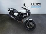 Kawasaki Eliminator 500 Herbst Special Vorführer 2025 - KAWASAKI 500