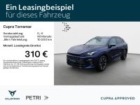Cupra Terramar - Vorschau Bild 2