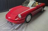 Alfa Romeo Spider 1.6 cc certif. ASI con C.R.S - Alfa Romeo Spider: 1.6