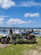 Harley-Davidson V-Rod - 2002 V ROD