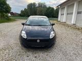 Fiat Punto 1.2 8V POP - Fiat Punto mit Benzin-Antrieb: Kleinwagen, 1.2