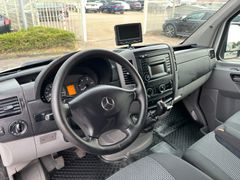 Fahrzeugabbildung Mercedes-Benz Sprinter 519 CDI,Kasten,L2H2,Klima,Temp.,Standh.