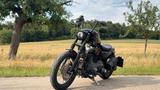Harley-Davidson Sportster 1200, J&H, kurzes Heck, viele Umbauten - Harley-Davidson Sportster S