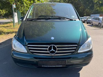 Mercedes Viano - 5