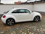 Volkswagen Beetle 1.4 TSI Fender Edition Fender Edition - VW Beetle von privat