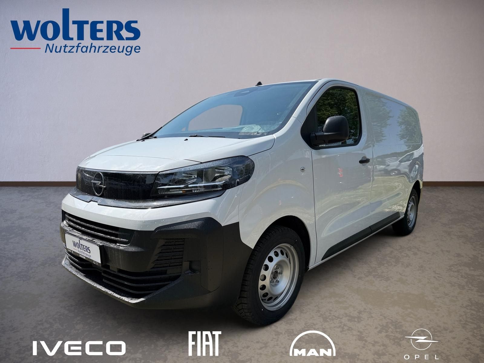 Fahrzeugabbildung Opel Vivaro M Kastenwagen 120 MT6