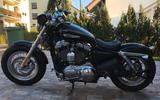 Harley-Davidson XL 1200C Sportster - HARLEY-DAVIDSON SPORTSTER XL 1200 C