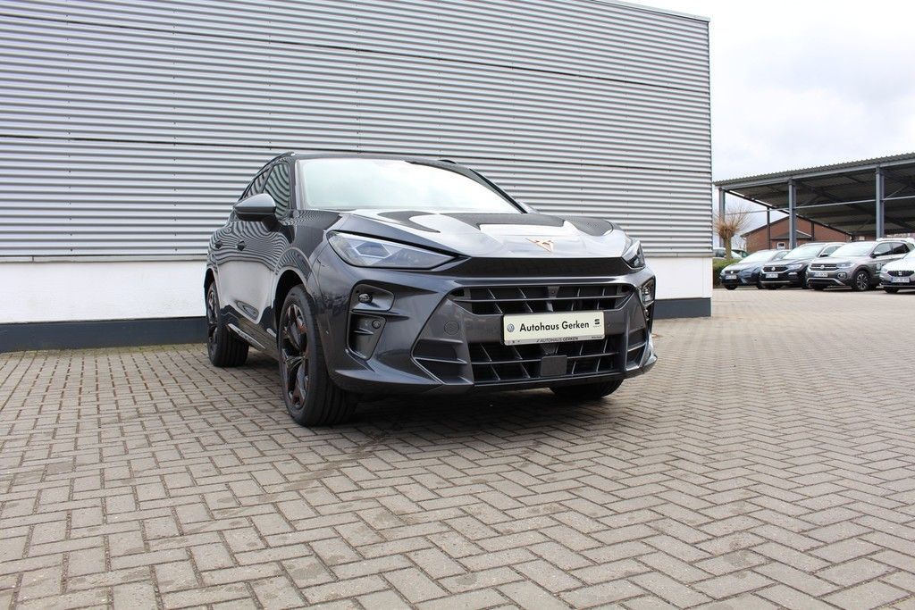 Fahrzeugabbildung CUPRA Terramar 2.0 TSI DSG 4Drive
