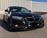 BMW 218i Cabrio Advantage, Leder, 70.000 km - BMW: Cabrio, 7