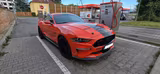 Ford Mustang 5.0 GT Premium 55 Years Edition - Ford Mustang: Edition