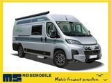 Chausson V697 SWEET LINE - EDITION / 2026 / 8G.-AUTOMATIK - Chausson Sweet