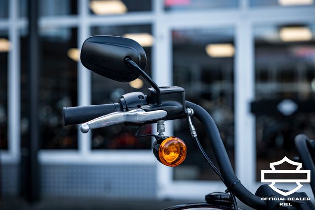 Fahrzeugabbildung Harley-Davidson STREET BOB 114 FXBBS SOFTAIL JEKILL&HYDE SPEICHE