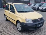 Fiat Panda 1.1 8V Active/2.Ha/TüvNeu/ZV/5.Tür/Alu/ - gebrauchte Fiat Panda aus dem Jahr 2010