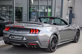 Ford Mustang Cabrio 5.0 V8 GT B&O *Nite Pony Styling* - Ford Mustang von 2026