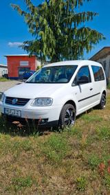 Volkswagen Caddy Life 1.9 TDI 77kW DSG 5-Sitzer - - gebrauchte VW Caddy aus dem Jahr 2005