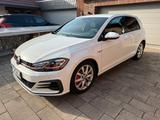 Volkswagen VII GTI Performance | DSG | STHZ | Alcantara
