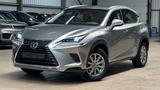 Lexus NX 300H - Lexus: Nx