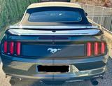 Ford Mustang 2.3 EcoBoost Auto - - Ford Mustang: Cabrio