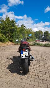 Suzuki GSF 600 Bandit - SUZUKI 1996 BANDIT 600