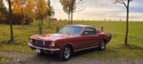 Ford Mustang Fastback - Ford Mustang aus 1966: Fastback
