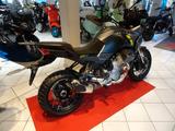 Moto Guzzi Stelvio-MY25-mit SEITENKOFFER- - Angebote entsprechen deinen Suchkriterien