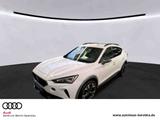 Cupra Formentor 2.0 TSI 4D VZ DSG *BEATS*R-CAM*SHZ* - Cupra Formentor Gebrauchtwagen in Berlin