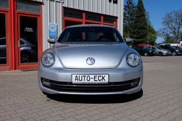 Volkswagen Beetle - 3