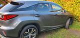 Lexus RX 450 450h Luxury Line Luxury Line - Lexus RX 450 mit Hybrid-Antrieb: Rx450h