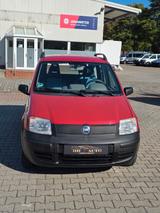 Fiat Panda 1.1 8V Active - Fiat Panda mit Benzin-Antrieb