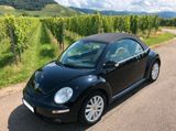 Volkswagen New Beetle 1.9 TDI DPF Freestyle Cabriolet F... - Volkswagen New Beetle aus 2010