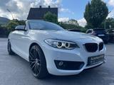 BMW 218 Baureihe 2 Cabrio 218 i Advantage - BMW 218 Gebrauchtwagen
