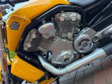 Harley-Davidson V-Rod VRSCF Muscle - HARLEY-DAVIDSON V ROD