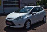 Ford Fiesta 1,4 LPG Trend - Ford Fiesta mit LPG-Antrieb