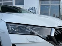Skoda Octavia Combi 2.0 TDI DSG Selection AHK 5J GAR bei Autohaus Landmann & Maier OHG