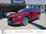 Mazda CX-30 Selection 122 Automatik BOSE|Navi|360°|Mat - Mazda Gebrauchtwagen in Herne