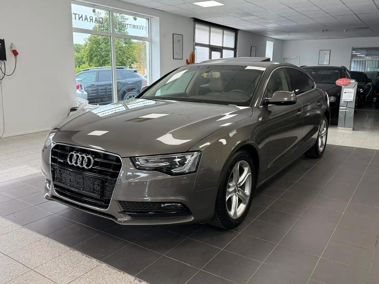 Audi A5 Sportb. 2.0 QUATTRO | 1.HAND | KAMERA | TÜV