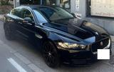 Jaguar JAGUAR XE 2.0 D PORTFOLIO - CAMBIO AUTOMATICO -  - Jaguar XE: Portfolio