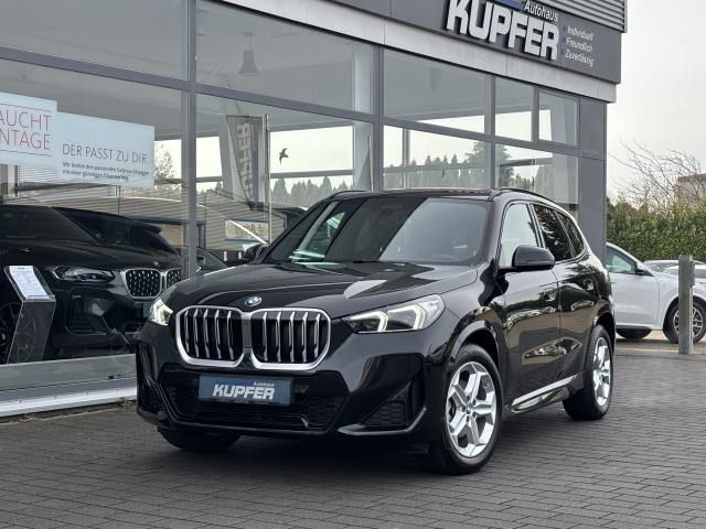 BMW X1 xDrive20d M Sport AHK°ACC Pro°Parkass.Plus uv