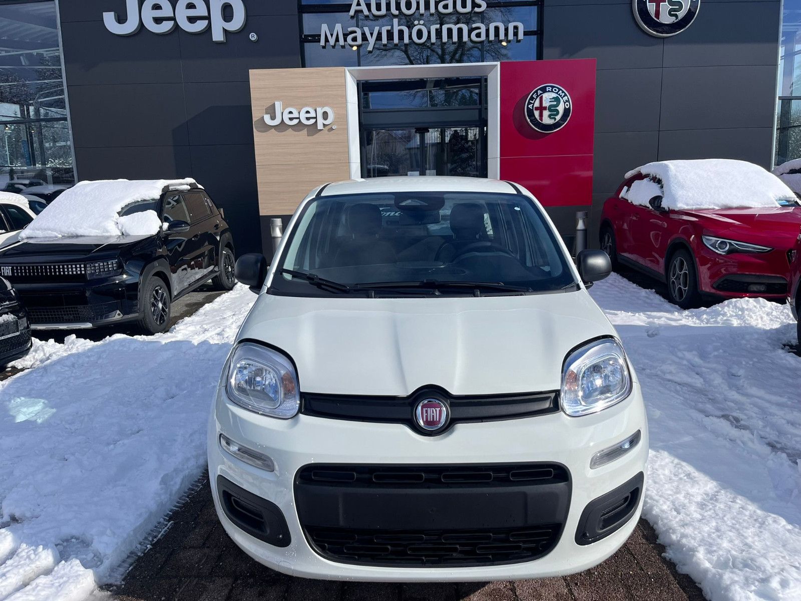 Fahrzeugabbildung Fiat Panda