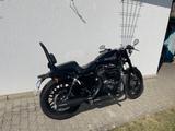 Harley-Davidson Sportster Roadster (XL1200CX) - Angebote
