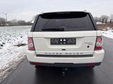 Land Rover Range Rover Sport 3,0 TDV6  HSE-Xenon-Dach-Leder - gebrauchte Land Rover Range Rover Sport aus dem Jahr 2010
