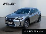 Lexus UX 250h Luxury Line *360°*HUD*M Levinson*Memory* - Lexus UX: Luxury Line