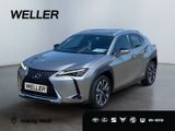 Lexus UX 250h Luxury Line *360°*HUD*M Levinson*Memory* - Lexus UX in Leipzig