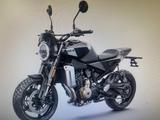 Husqvarna Svartpilen  801 L Akrapovic - HUSQVARNA SVARTPILEN 801