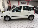 Fiat Panda 1.2 8V Classic KLIMA ELEK.FENSTER - Fiat Panda Gebrauchtwagen in Köln