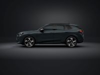 Cupra Terramar - Vorschau Bild 4